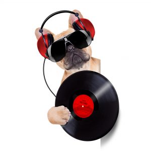dog dressed as disc jockey and holding vinyl record